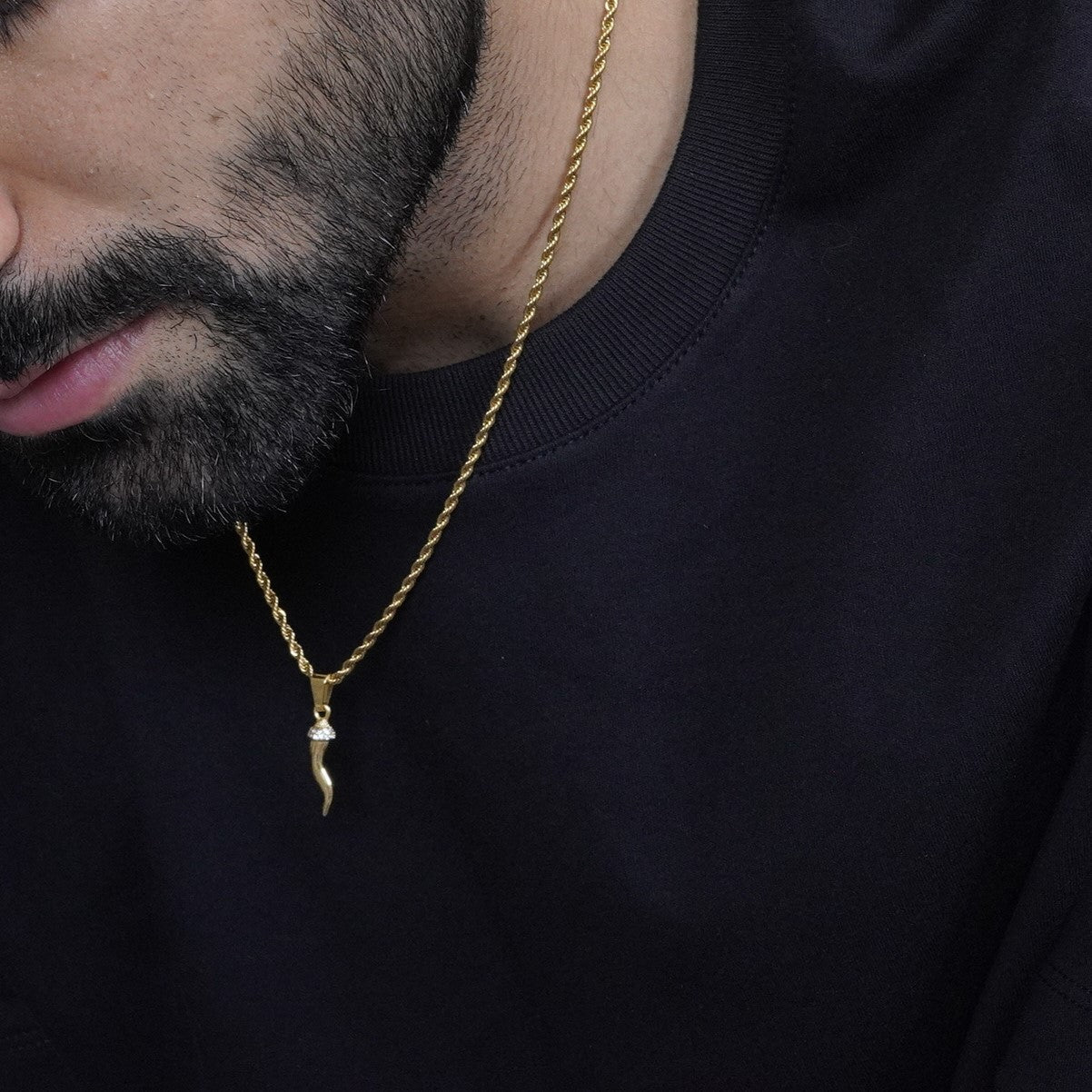 Italian Horn Pendant - Gold